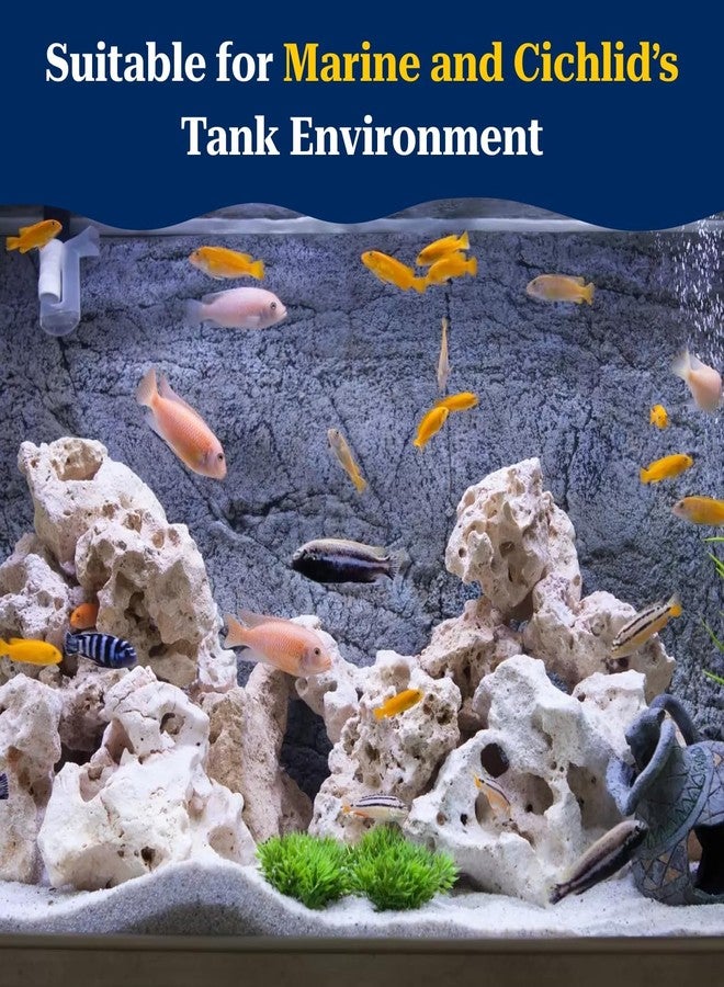 VAYINATO® Aquarium Fish Tank Natural Decorative White Sansibar Stone for Marine and Chihilids Fish Tank (1 Kg) by Petzlifeworld - Image 5